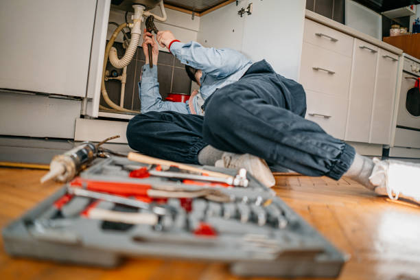 Best Clogged Drain Plumber  in Alamo, NV